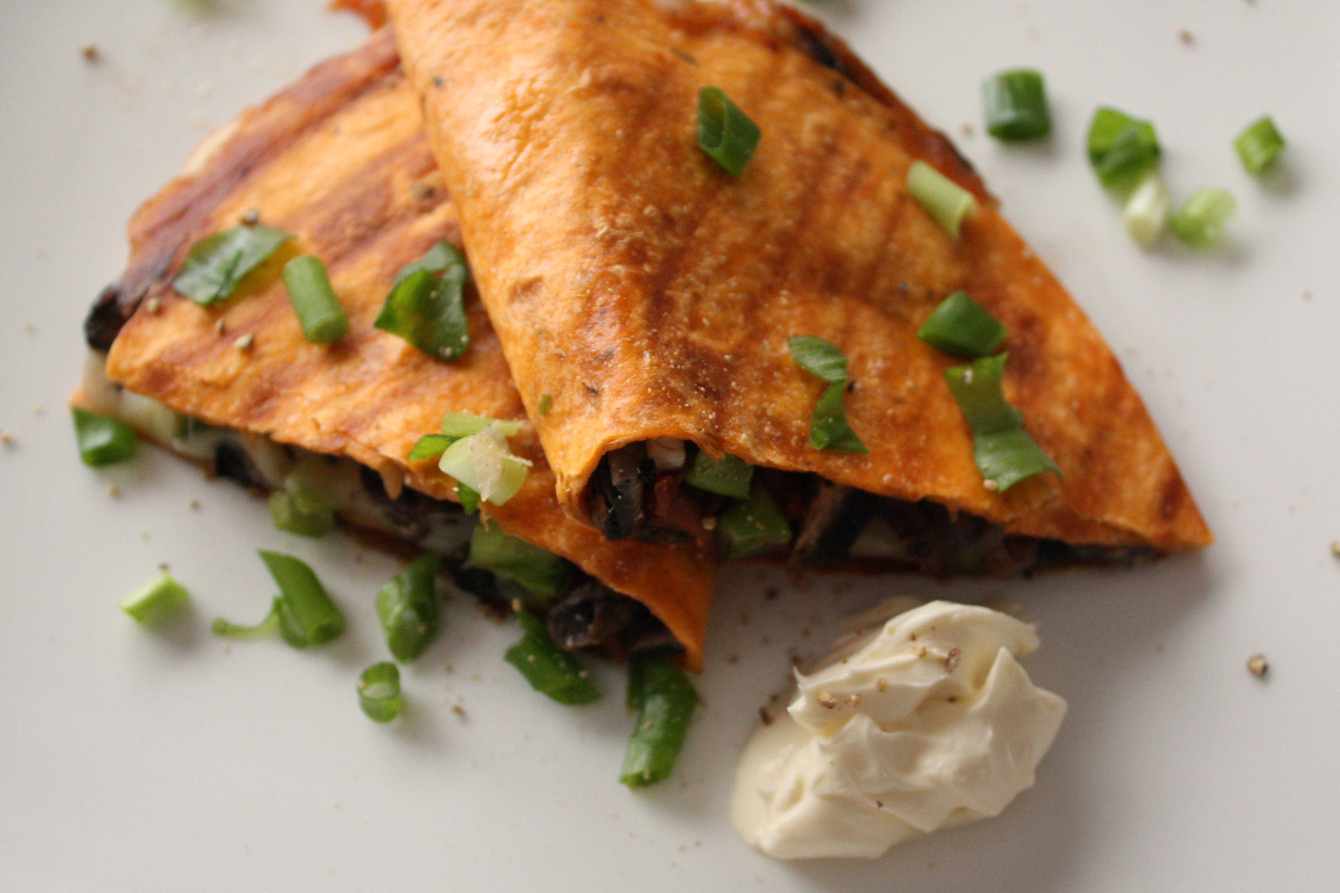 Quesadillas! Picnic Pleasures